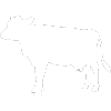 Large Animal Hospital